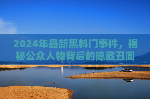 2024年最新黑料门事件，揭秘公众人物背后的隐藏丑闻与社会反思