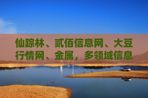 仙踪林、贰佰信息网、大豆行情网、金属，多领域信息平台的市场洞察与价值赋能