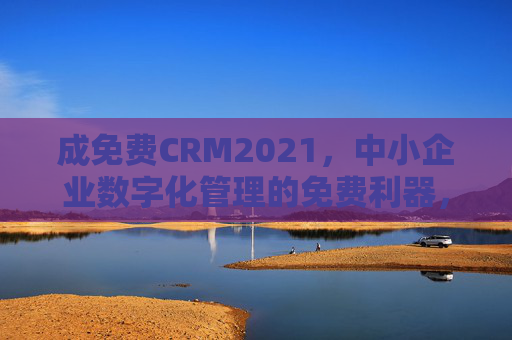 成免费CRM2021，中小企业数字化管理的免费利器，助力2021年业务升级