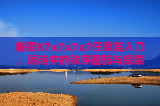 解密X7x7x7x7任意噪入口，混沌中的秩序密码与探索路径