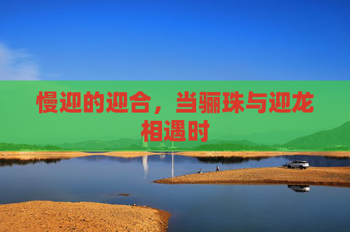 慢迎的迎合，当骊珠与迎龙相遇时
