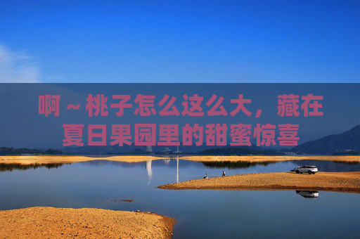 啊～桃子怎么这么大，藏在夏日果园里的甜蜜惊喜