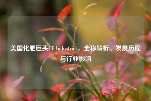 美国化肥巨头CF Industries，全称解析、发展历程与行业影响