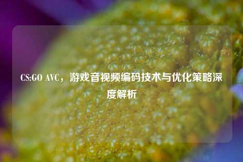 CS:GO AVC，游戏音视频编码技术与优化策略深度解析
