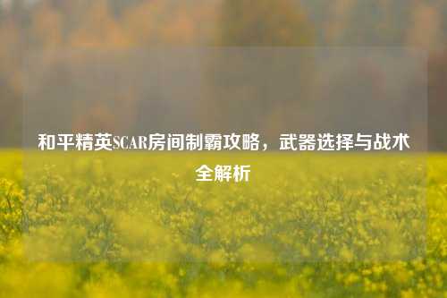 和平精英SCAR房间制霸攻略，武器选择与战术全解析