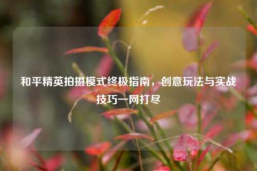 和平精英拍摄模式终极指南,创意玩法与实战技巧一网打尽