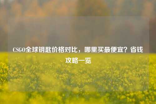 CSGO全球钥匙价格对比，哪里买最便宜？省钱攻略一览