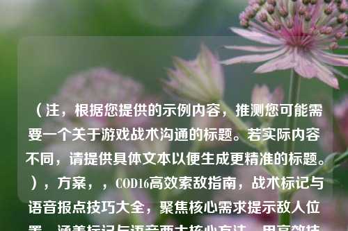 （注，根据您提供的示例内容，推测您可能需要一个关于游戏战术沟通的标题。若实际内容不同，请提供具体文本以便生成更精准的标题。），方案，，COD16高效索敌指南，战术标记与语音报点技巧大全，聚焦核心需求提示敌人位置，涵盖标记与语音两大核心方法，用高效技巧大全突出实用性，同时符合游戏玩家搜索习惯。）