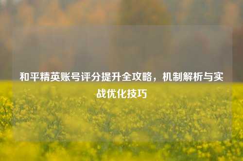 和平精英账号评分提升全攻略,机制解析与实战优化技巧