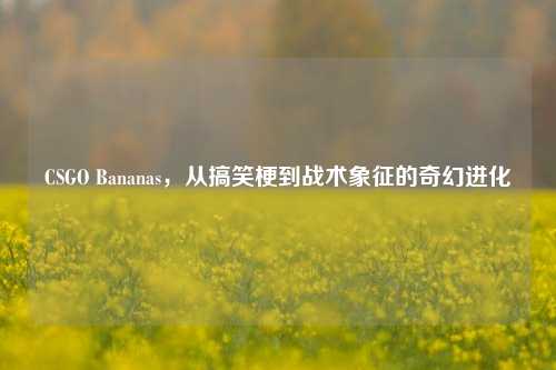 CSGO Bananas，从搞笑梗到战术象征的奇幻进化