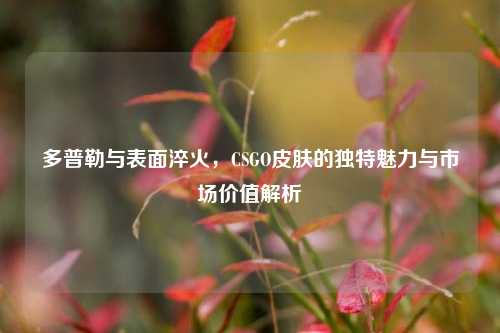 多普勒与表面淬火，CSGO皮肤的独特魅力与市场价值解析
