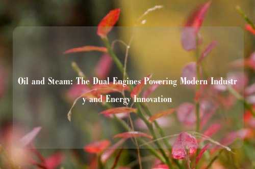 Oil and Steam: The Dual Engines Powering Modern Industry and Energy Innovation