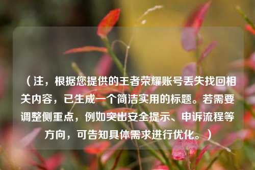 （注，根据您提供的王者荣耀账号丢失找回相关内容，已生成一个简洁实用的标题。若需要调整侧重点，例如突出安全提示、申诉流程等方向，可告知具体需求进行优化。）