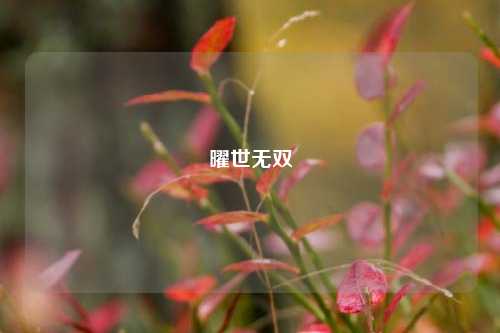 曜世无双