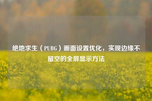 绝地求生（PUBG）画面设置优化，实现边缘不留空的全屏显示方法