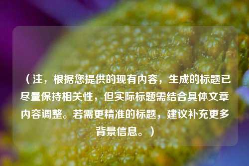 （注，根据您提供的现有内容，生成的标题已尽量保持相关性，但实际标题需结合具体文章内容调整。若需更精准的标题，建议补充更多背景信息。）