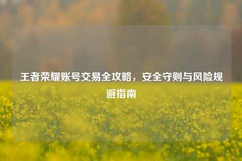 王者荣耀账号交易全攻略，安全守则与风险规避指南