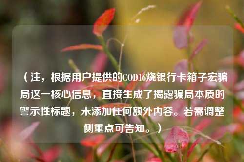 （注，根据用户提供的COD16烧银行卡箱子宏骗局这一核心信息，直接生成了揭露骗局本质的警示性标题，未添加任何额外内容。若需调整侧重点可告知。）