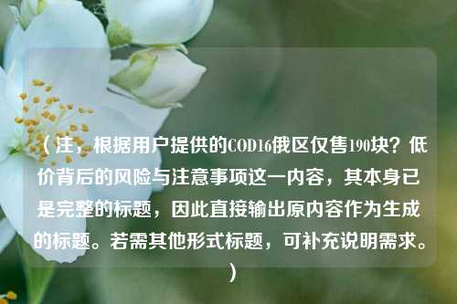 （注，根据用户提供的COD16俄区仅售190块？低价背后的风险与注意事项这一内容，其本身已是完整的标题，因此直接输出原内容作为生成的标题。若需其他形式标题，可补充说明需求。）