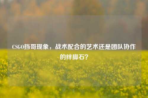 CSGO挡哥现象，战术配合的艺术还是团队协作的绊脚石？
