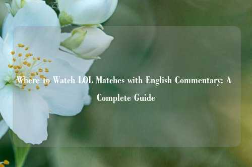 Where to Watch LOL Matches with English Commentary: A Complete Guide