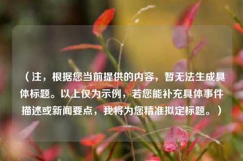 (注,根据您当前提供的内容,暂无法生成具体标题。以上仅为示例,若您能补充具体事件描述或新闻要点,我将为您精准拟定标题。)