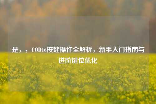 是，，COD16按键操作全解析，新手入门指南与进阶键位优化