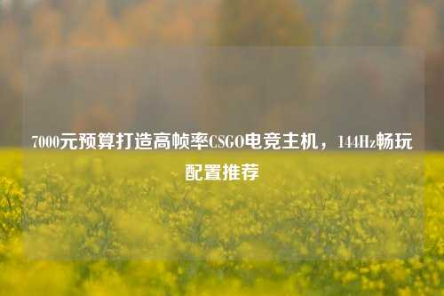 7000元预算打造高帧率CSGO电竞主机,144Hz畅玩配置推荐