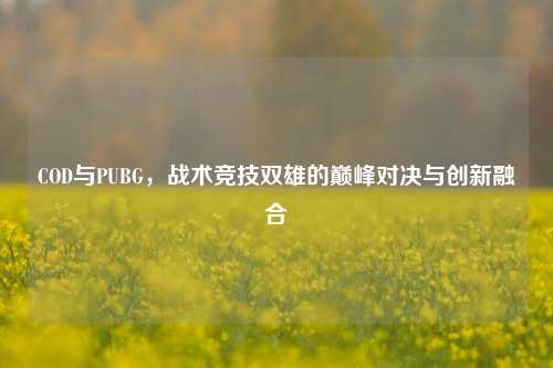 COD与PUBG，战术竞技双雄的巅峰对决与创新融合