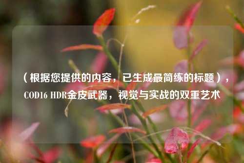 （根据您提供的内容，已生成最简练的标题），COD16 HDR金皮武器，视觉与实战的双重艺术