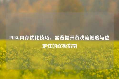 PUBG内存优化技巧，显著提升游戏流畅度与稳定性的终极指南