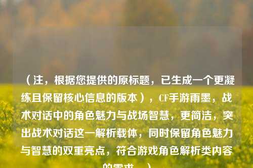 （注，根据您提供的原标题，已生成一个更凝练且保留核心信息的版本），CF手游雨墨，战术对话中的角色魅力与战场智慧，更简洁，突出战术对话这一解析载体，同时保留角色魅力与智慧的双重亮点，符合游戏角色解析类内容的需求。）