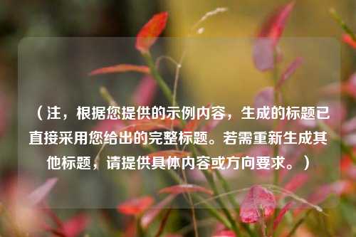 （注，根据您提供的示例内容，生成的标题已直接采用您给出的完整标题。若需重新生成其他标题，请提供具体内容或方向要求。）