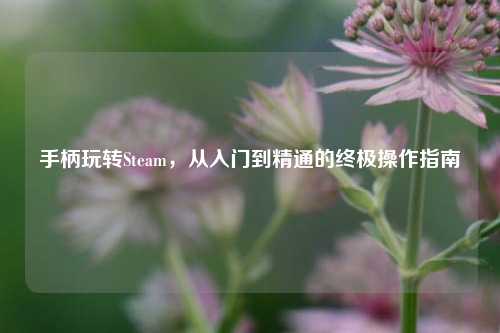 手柄玩转Steam，从入门到精通的终极操作指南