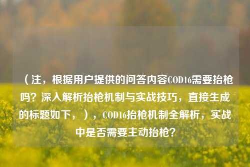 (注,根据用户提供的问答内容COD16需要抬枪吗?深入解析抬枪机制与实战技巧,直接生成的标题如下,),COD16抬枪机制全解析,实战中是否需要主动抬枪?