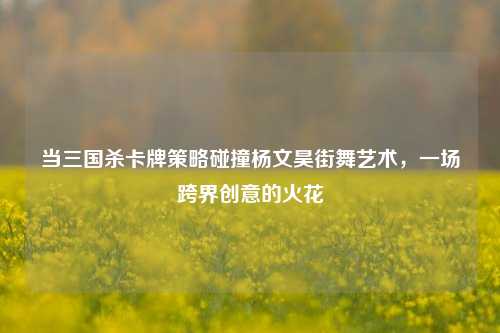 当三国杀卡牌策略碰撞杨文昊街舞艺术，一场跨界创意的火花