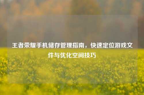 王者荣耀手机储存管理指南,快速定位游戏文件与优化空间技巧