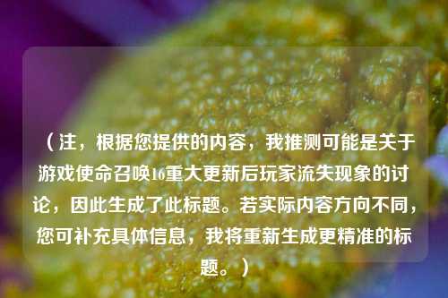 （注，根据您提供的内容，我推测可能是关于游戏使命召唤16重大更新后玩家流失现象的讨论，因此生成了此标题。若实际内容方向不同，您可补充具体信息，我将重新生成更精准的标题。）