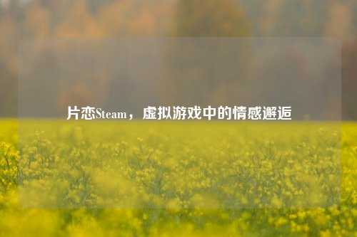 片恋Steam，虚拟游戏中的情感邂逅