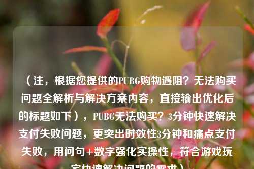 （注，根据您提供的PUBG购物遇阻？无法购买问题全解析与解决方案内容，直接输出优化后的标题如下），PUBG无法购买？3分钟快速解决支付失败问题，更突出时效性3分钟和痛点支付失败，用问句+数字强化实操性，符合游戏玩家快速解决问题的需求）