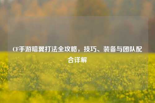 CF手游暗翼打法全攻略，技巧、装备与团队配合详解
