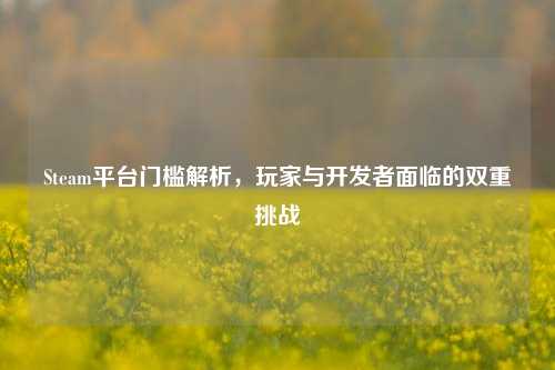 Steam平台门槛解析，玩家与开发者面临的双重挑战