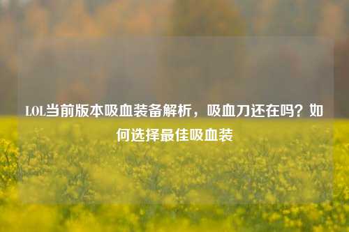 LOL当前版本吸血装备解析,吸血刀还在吗?如何选择更佳吸血装