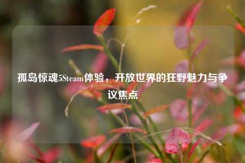 孤岛惊魂5Steam体验,开放世界的狂野魅力与争议焦点