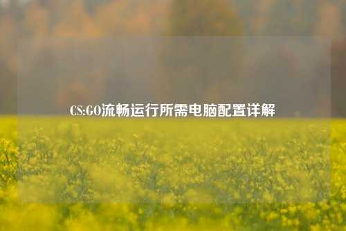 CS:GO流畅运行所需电脑配置详解
