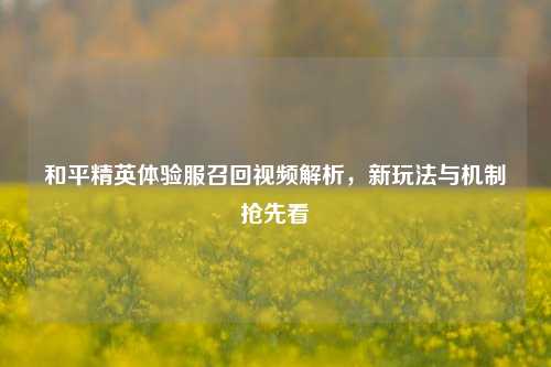 和平精英体验服召回视频解析，新玩法与机制抢先看
