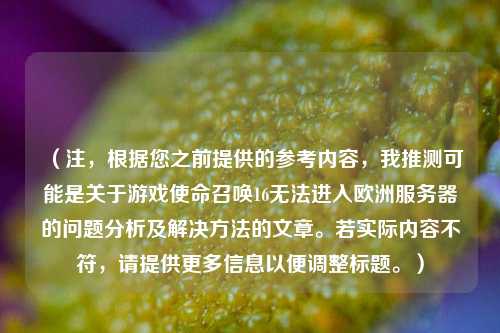 （注，根据您之前提供的参考内容，我推测可能是关于游戏使命召唤16无法进入欧洲服务器的问题分析及解决 *** 的文章。若实际内容不符，请提供更多信息以便调整标题。）