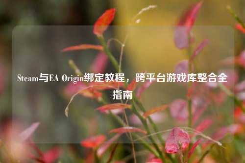 Steam与EA Origin绑定教程,跨平台游戏库整合全指南