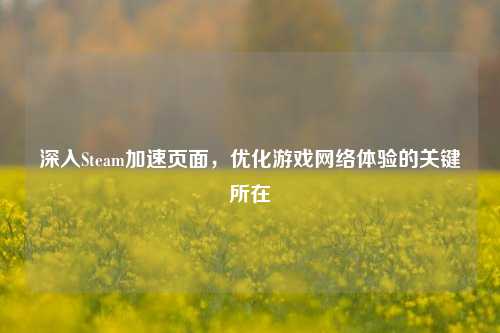深入Steam加速页面，优化游戏 *** 体验的关键所在