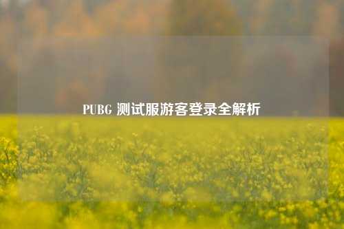 PUBG 测试服游客登录全解析